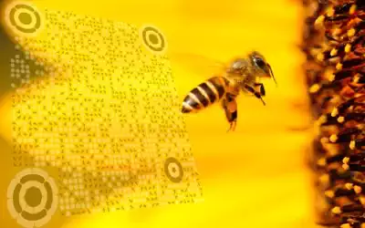 creative 3d qr code image composition - bee theme | qr code maker with logo