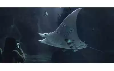 QRcodeLab qr generator - qr image on manta ray in aquarium with girl doing smartphone scanning