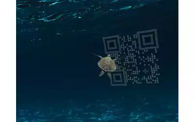 QRcodeLab qr generator and image editor - underwater qr image with sea turtle logo