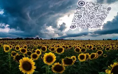 QRcodeLab qr generator - 3D QR image made with flower elements and placed over a sunflower field