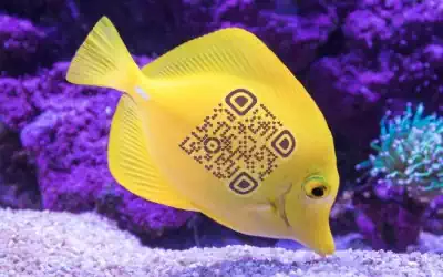 coral fish qr code image composition | qr code maker with image blending tools